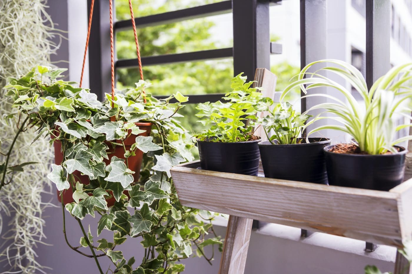 Ideas para un jardin en un espacio pequeño de tu apartamento