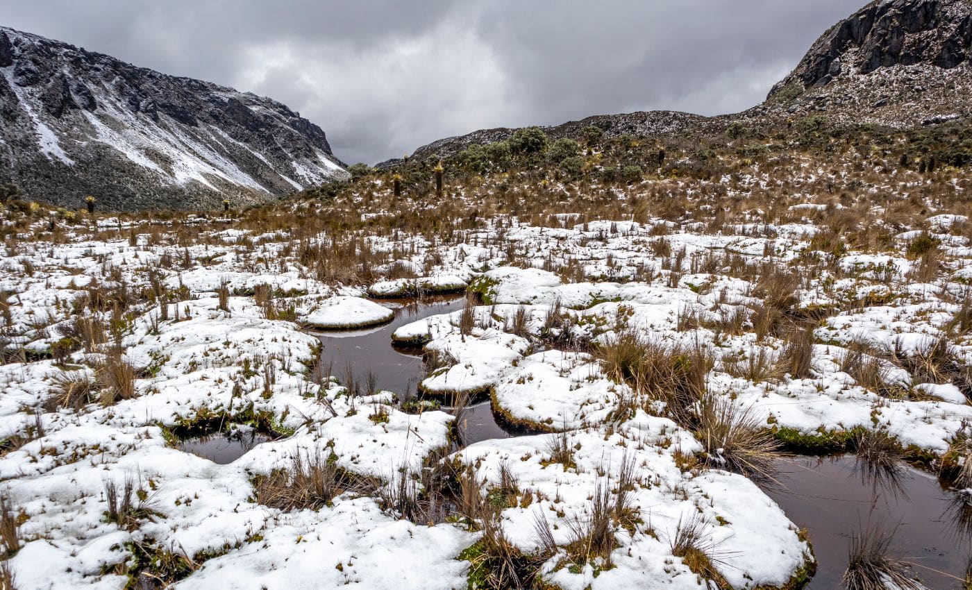 Parque natural nacional de los nevados en Colombia