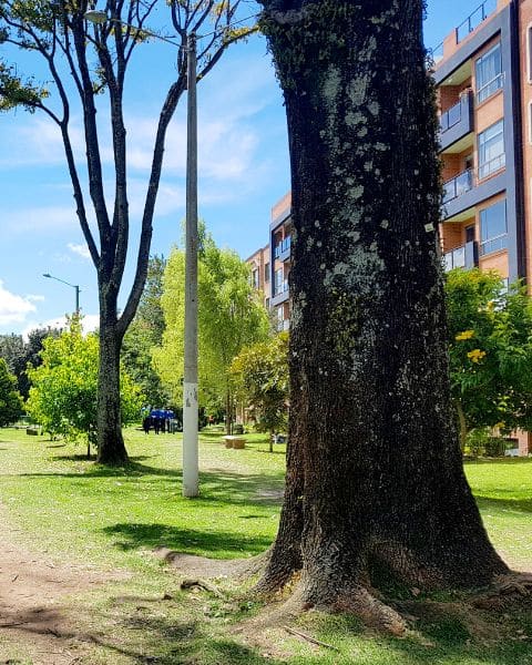 Mejores barrios para vivire n kennedy