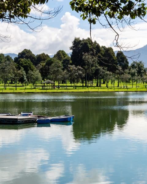 Parque Simón Bolívar, Teusaquillo