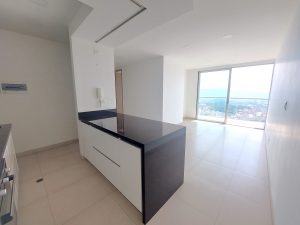 Apartamento en Arriendo Edificio Infinity (3)