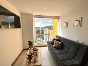 Apartamento en arriendo en Alta Suiza 11