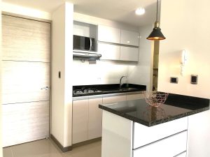 Apartamento amoblado en arriendo en Oro Negro 1