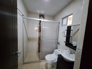 Apartamento en arriendo en barrio Venecia 10