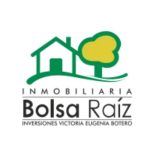 Inmobiliaria Bolsa Raíz