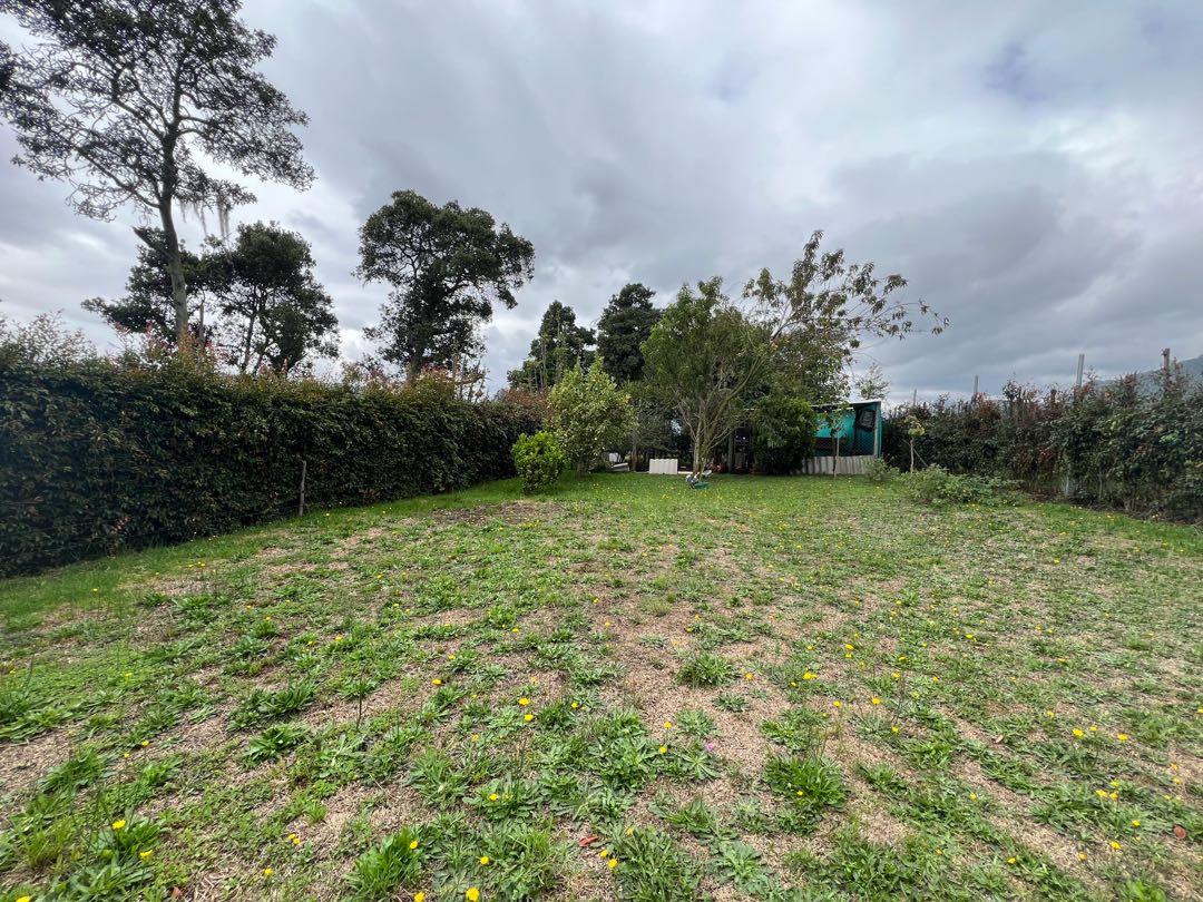se_vende_se_arrienda_casa_en_t_1714755104-0349_8801.jpeg