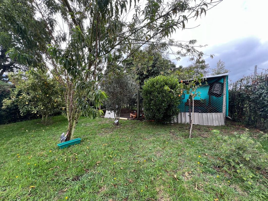 se_vende_se_arrienda_casa_en_t_1714755105-8565_6018.jpeg