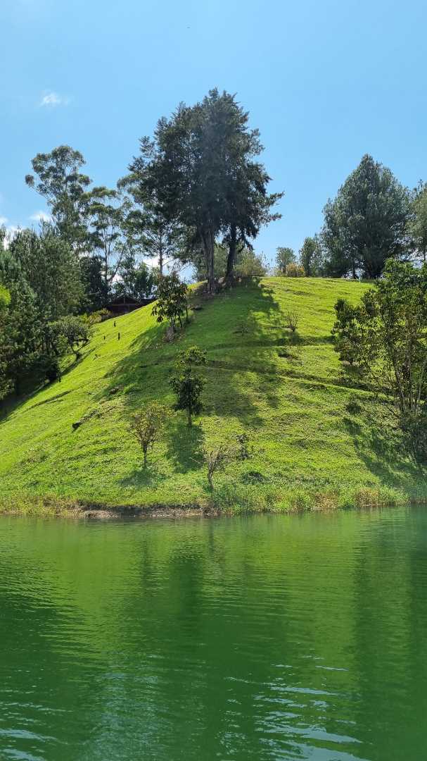 cabaa_en_guatap_el_peol_con_vi_1680146075-4824_6781.jpg