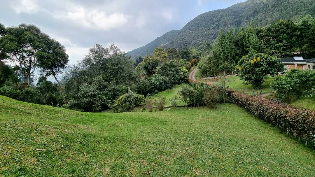 casa_arriendo_floresta_de_la_s_1669322612-6869_2354.jpg