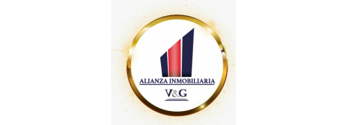 Alianza Inmobiliaria V&G SAS