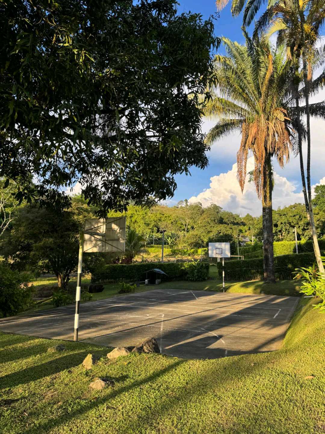 alquiler_finca_aledaa_a_santag_1746291407-6239_5714.jpeg