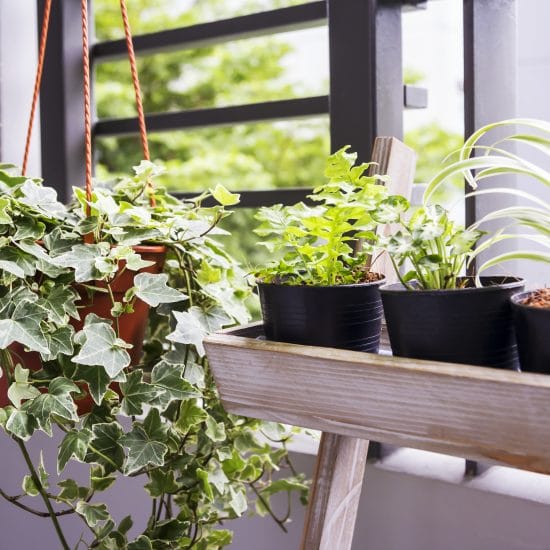 Ideas para un jardin en un espacio pequeño de tu apartamento