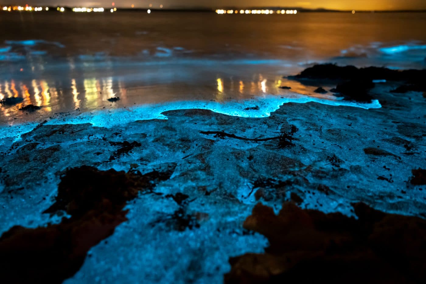 playas-bioluminiscentes-de-colombia